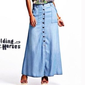 Anthropologie Denim Maxi Holding Horse Size 2